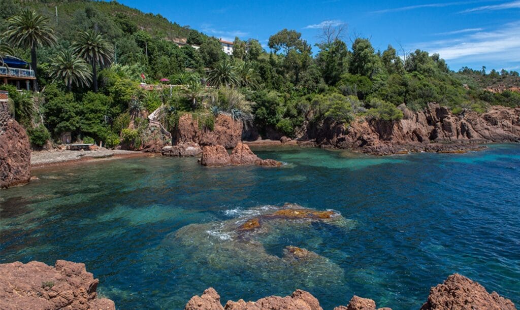 Snorkeling en bateau privé dans les Calanques de Maupas, Côte d’Azur