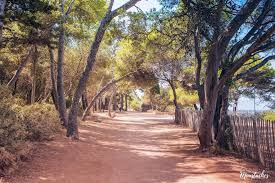 sentier ombragé de l’île, ambiance calme et spirituelle.