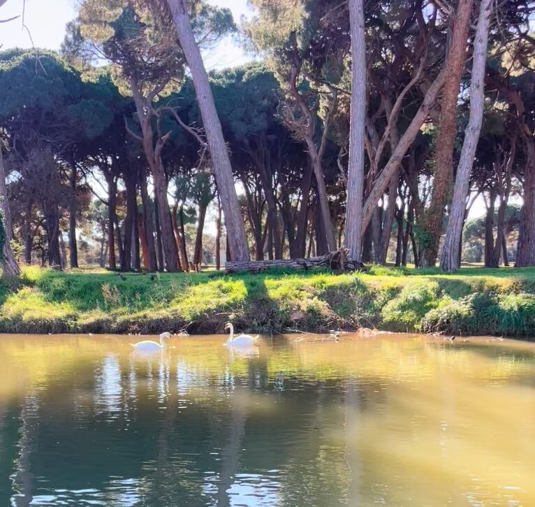 Balade sur la siagne